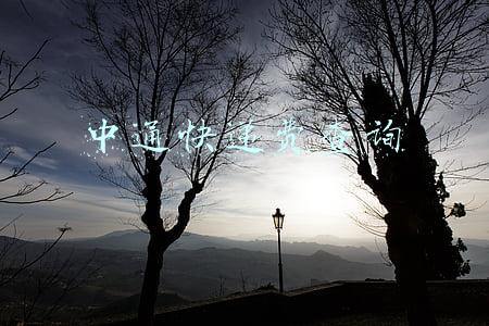 中通快递费查询