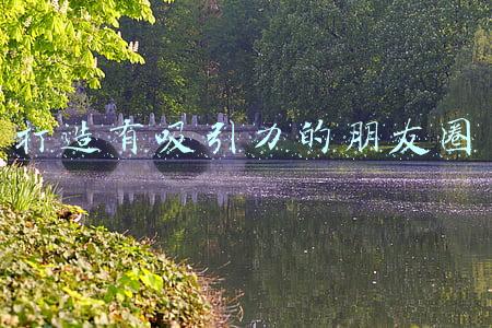 打造有吸引力的朋友圈