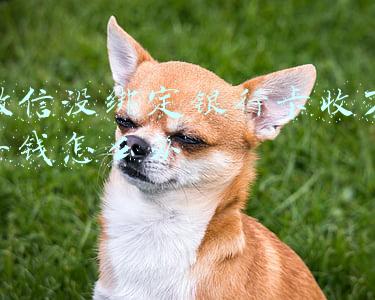 微信没绑定银行卡收不了钱怎么办