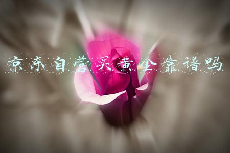 京东商城黄金(周大福跻身奢侈品第十背后，年轻人消费观变了，在唯品会买爆黄金)