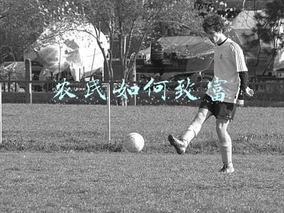 农民如何致富