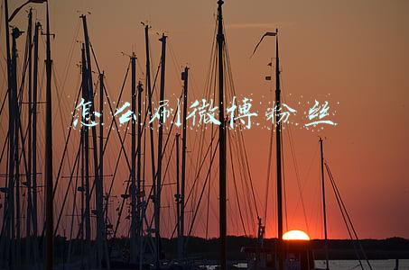 怎么刷微博粉丝