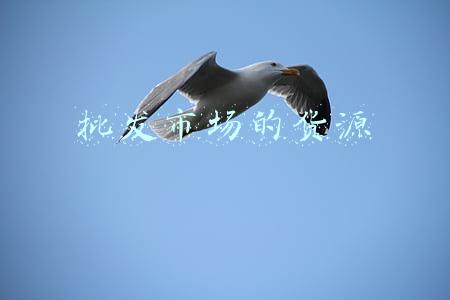 批发市场的货源