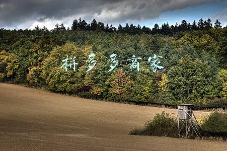 拼多多商家