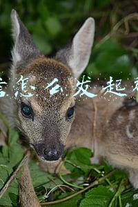 微信怎么发起群聊