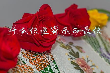 什么快递寄东西最快