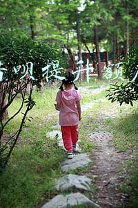 蚂蚁借呗提升额度审核多久