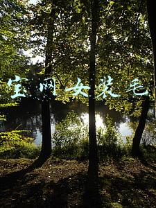淘宝网女装毛衣