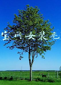 淘宝网女装毛衣