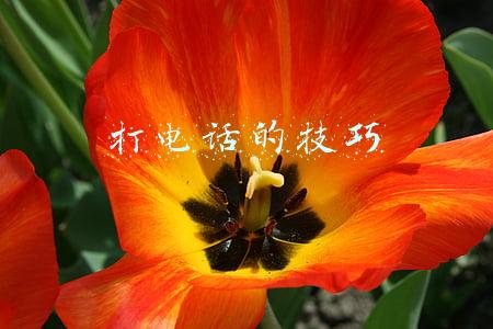 打电话的技巧