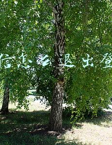 企业微信怎么退出登录(如何更换企业微信帐号所绑定的微信？)