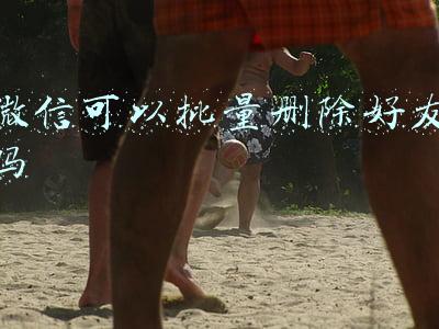 电脑上登录微信可以批量删除好友吗(《微信电脑版》批量删除好友教程)