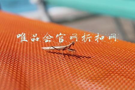 唯品会官网折扣网