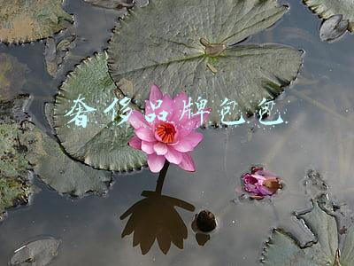 奢侈品牌包包