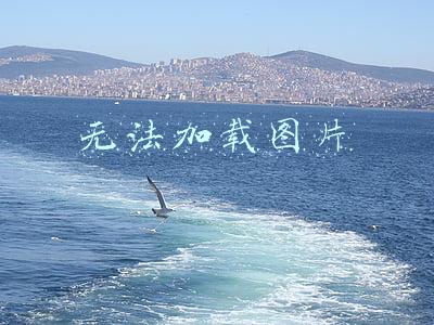 无法加载图片