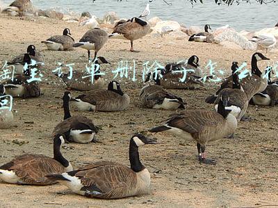淘宝订单删除了怎么找回