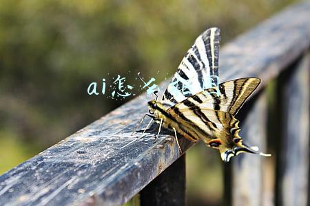 ai怎么抠图