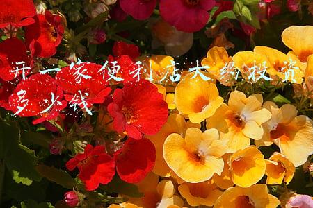 开一家便利店大约投资多少钱