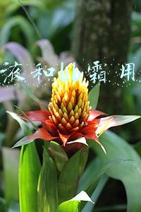 粉底液和bb霜用哪个好