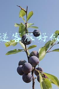 快递客服好做吗