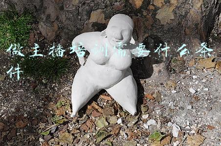 做主播培训需要什么条件