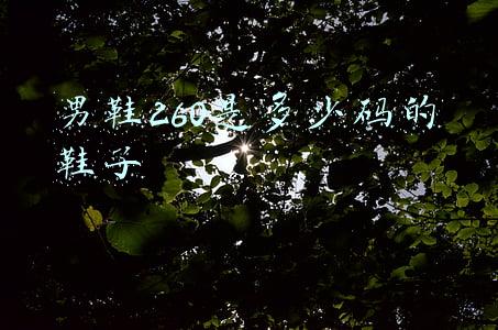 男鞋260是多少码的鞋子