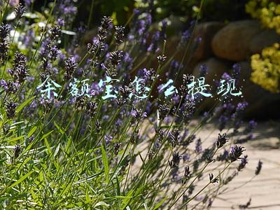 余额宝怎么提现