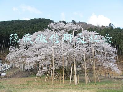 隐藏微信聊天记录