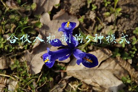 合伙人模式六种方法(创业的六种合伙方式)
