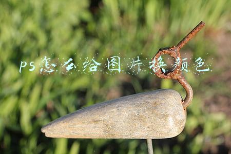 ps怎么给图片换颜色