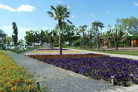 微信如何批量删除聊天记录 微信如何批量删除聊天记录