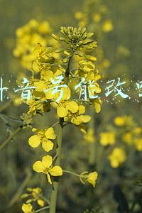 抖音号能改吗