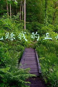 用手机赚钱的正规平台写文章(什么平台能发文章赚钱)