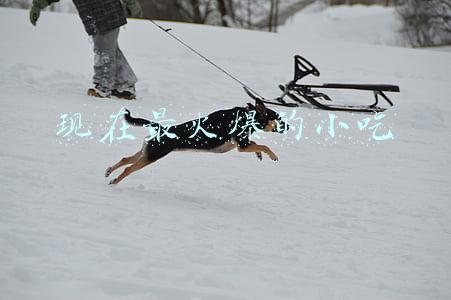 现在最火爆的小吃