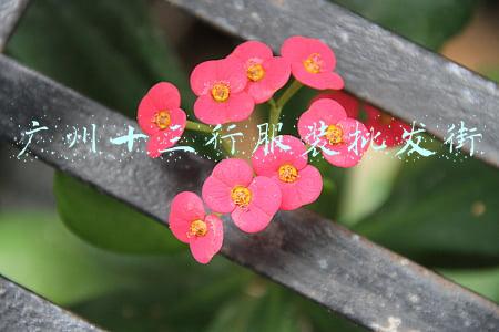 广州十三行服装批发街