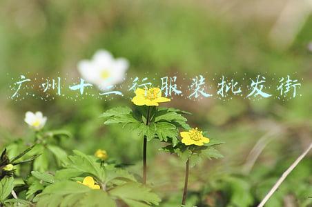 广州十三行服装批发街