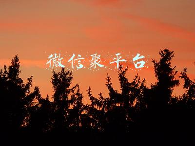 微信聚平台