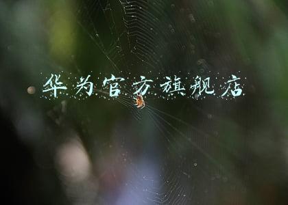 华为官方旗舰店