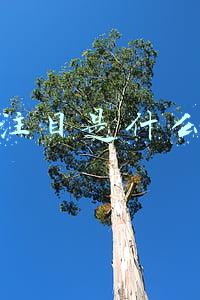 引人注目是什么意思解释(人教版小学语文四年级上册四字词语及解释)