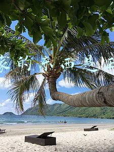 海豚家的东西是正品吗