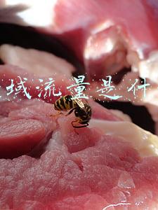 私域流量是什么