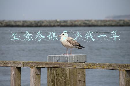 生意参谋多少钱一年