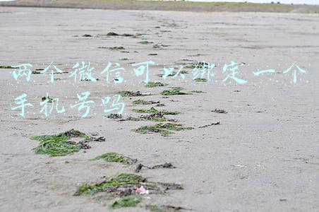 两个微信可以绑定一个手机号吗
