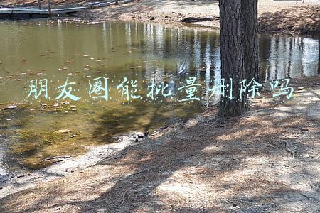 朋友圈能批量删除吗