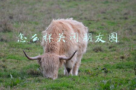 怎么样关闭朋友圈才能让别人看不到(关掉朋友圈)