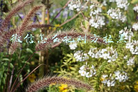 微信怎么把对方拉黑