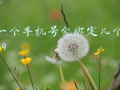 一个手机号能绑定几个qq
