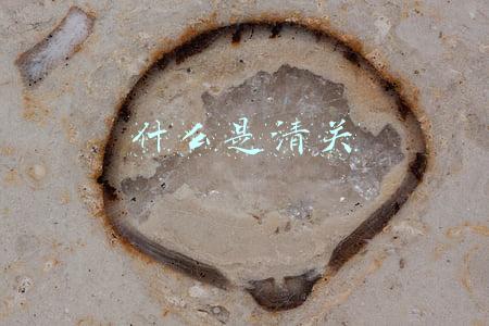 什么是清关