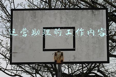 运营助理的工作内容