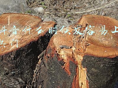 抖音什么时候发容易上热门